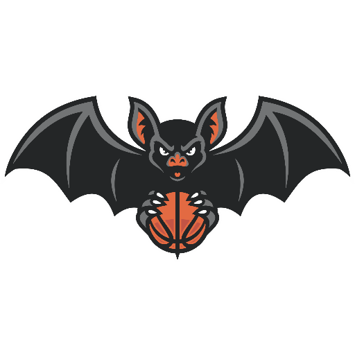 BASKETBAL BLANKENBERGE