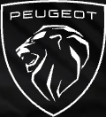 garage universel (peugeot)